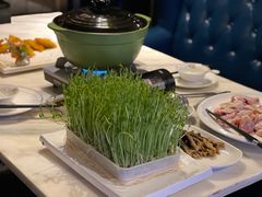 -美姿水荟美食水疗