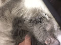 -小时光咖啡馆(开森度假森林店)