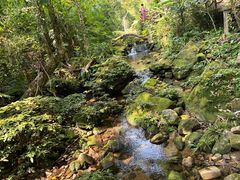 -海南热带雨林国家公园吊罗山景区