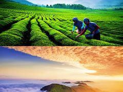 -萍乡武功山风景名胜区