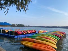 -上海海湾国家森林公园