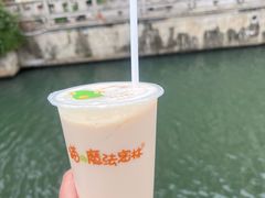 -猫的魔法密林(衣裳街店)