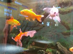 -韩一馆(吉大店)