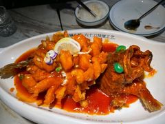 松鼠桂鱼-蔡阿水羊肉店