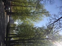 顺鑫绿色度假村贵宾楼-顺鑫绿色度假村