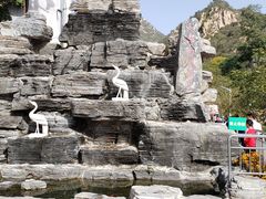 -大岭沟猕猴桃谷风景区