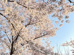 -龙美术馆西岸馆-停车场