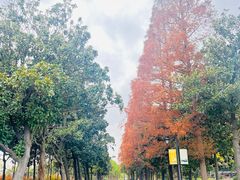 -狼山风景名胜区