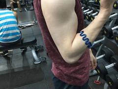 -健身专家Wellness Experts
