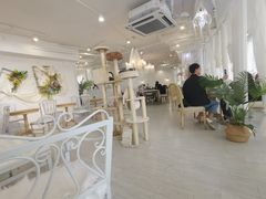 大堂-共舞时光猫咖·狗咖(新街口店)