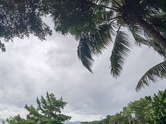 -深圳湾公园(南山区)