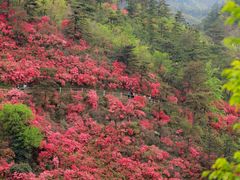 -木兰云雾山