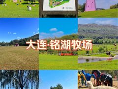 -大连铭湖国际观光牧场
