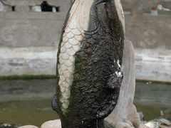 -西安大兴善寺