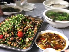 -铁山坪森林公园