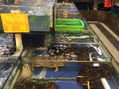 水产区-金八仙酒店