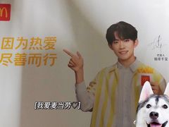 -麦当劳(郑州东高铁站店)