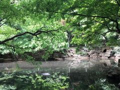 -虞山城墙