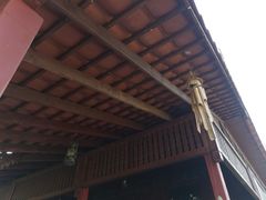 -东莞植物园