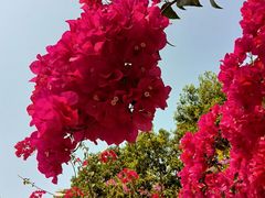 -华南国家植物园-售票处