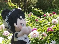 -太阳宫公园