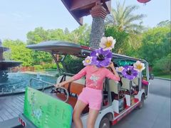 -美的鹭湖森林度假区