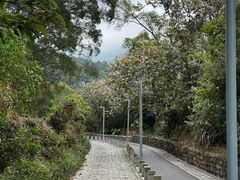 -梧桐山风景名胜区