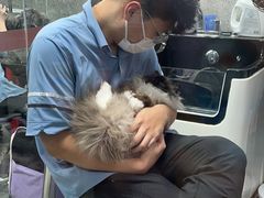 -宠物家(大兴旧宫店)
