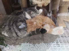 -边渡咖啡烘焙店(昙华林店)