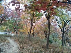 -国家植物园南园