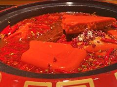 -蜀辣居鲜货老火锅(红牌楼店)