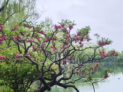 -颐和园