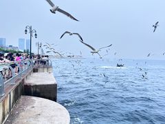 -大连海昌东方水城