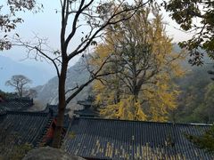 -九龙池景区