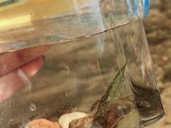 -碓臼峪自然风景区