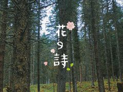-硗碛藏寨·神木垒景区