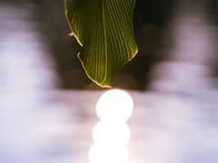 -晓港公园