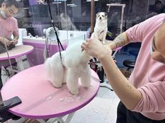 -FAELING PETS美天灵宠物(富力广场店)
