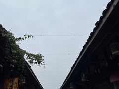 -安仁古镇