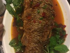 -香满楼(临安路店)