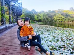 -广州市石门国家森林公园