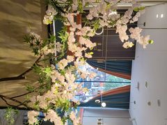 -刘胖子家常菜·蹄花焖藕(中南店)