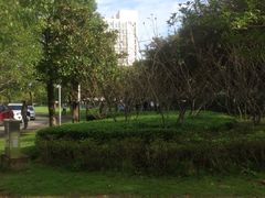-上海第二工业大学(金海路校区)