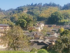 -杨家堂村
