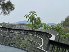 -福道