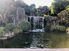 -荔枝公园(福田区)