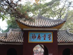 -子昂故里文化旅游区