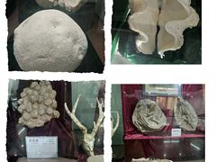 -顾村公园