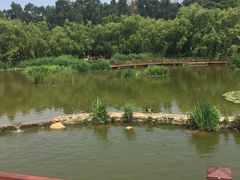 -月牙潭公园