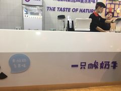 -一只酸奶牛(海南友谊阳光城店)